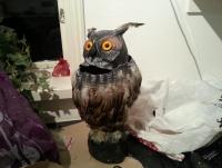 post-5975-0-35407300-1404057998_thumb.jp