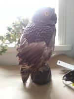 post-5975-0-69061200-1404057223_thumb.jp