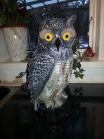 post-5975-0-78485400-1404056918_thumb.jp