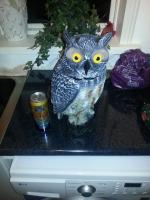 post-5975-0-89008900-1404057101_thumb.jp