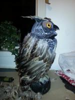 post-5975-0-92687200-1404057921_thumb.jp