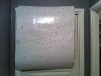 post-16336-0-69526100-1434406562_thumb.j