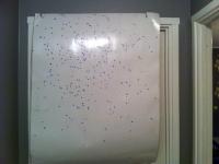 post-16336-0-92118900-1434406529_thumb.j