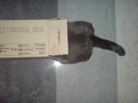 post-2515-1247240490_thumb.jpg