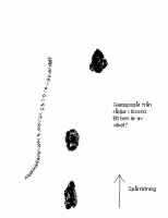 post-348-0-43330900-1310110188_thumb.gif
