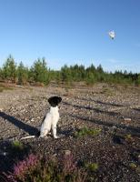 post-7649-0-27506900-1310672463_thumb.jp