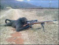 post-5304-0-24653400-1343285206_thumb.jp