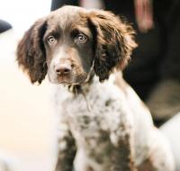 post-5678-0-03357400-1341213996_thumb.jp