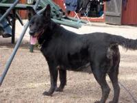 post-6778-0-67871100-1342694170_thumb.jp