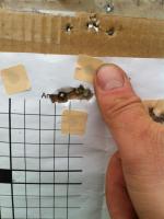 post-3288-0-16294200-1372969926_thumb.jp