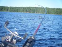 post-4401-0-45189100-1374692704_thumb.jp