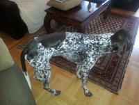 post-9336-0-12542700-1375205784_thumb.jp