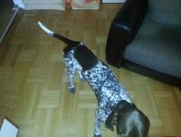 post-9336-0-71497400-1375205743_thumb.jp