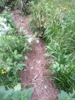 post-1171-0-27860700-1404907784_thumb.jp