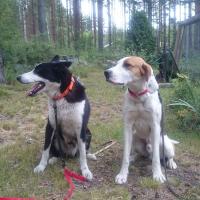 post-1171-0-84832100-1404907863_thumb.jp