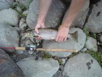 post-15327-0-49339700-1404732429_thumb.j