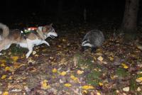 post-4031-0-70709000-1406064552_thumb.jp