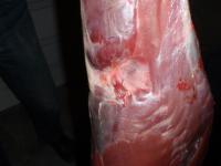 post-348-1250616168_thumb.jpg