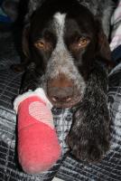 post-1513-1282651371_thumb.jpg