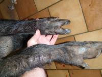 post-348-1282943337_thumb.jpg