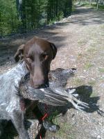 post-1839-0-30093200-1314533909_thumb.jp