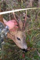 post-3526-0-62832200-1313563848_thumb.jp