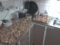 post-4173-0-90440300-1313864047_thumb.jp