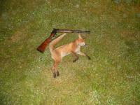 post-4401-0-95094000-1312857905_thumb.jp