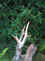 post-4759-0-01562400-1313669732_thumb.jp