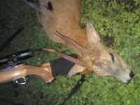 post-4850-0-75459700-1313570104_thumb.jp