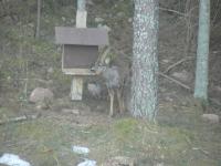 post-6209-0-55948500-1313437046_thumb.jp