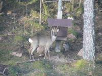 post-6209-0-62750600-1313437218_thumb.jp