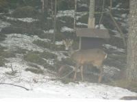 post-6209-0-82475800-1313439548_thumb.jp