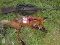 post-6466-0-25758400-1313783991_thumb.jp