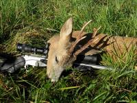 post-9336-0-10728100-1313574032_thumb.jp