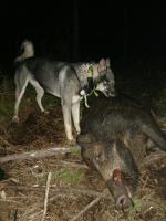 post-11206-0-60388600-1346170336_thumb.j