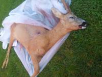 post-3793-0-97054100-1345216114_thumb.jp