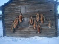 post-4596-0-74085700-1345649926_thumb.jp