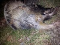 post-5320-0-52308200-1344962438_thumb.jp