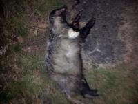 post-5320-0-59206100-1344962374_thumb.jp