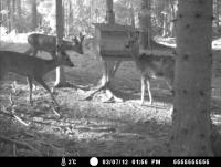 post-6209-0-63696000-1345360827_thumb.jp