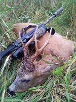 post-7865-0-41915600-1345320752_thumb.jp