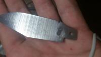 post-11919-0-92127700-1377268751_thumb.j