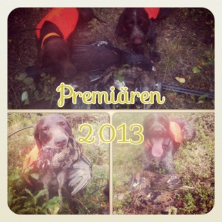 Skogsfågeljakten 2013/14