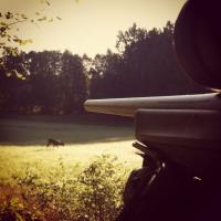 post-2286-0-19253100-1376985322_thumb.jp