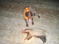 post-4401-0-40483200-1375487381_thumb.jp