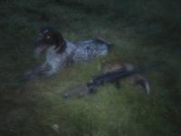 post-5037-0-56472000-1375805003_thumb.jp