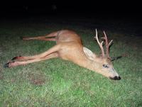 post-6127-0-86668800-1376940484_thumb.jp