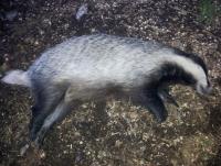 post-6266-0-08900200-1376671743_thumb.jp