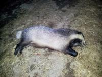 post-6266-0-18968500-1375737786_thumb.jp